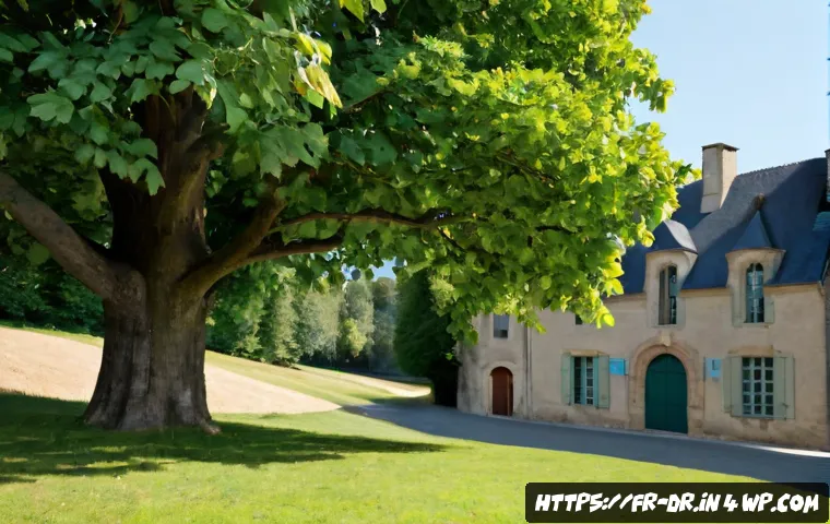 Activités de groupe pour apaiser un conflit intérieur : formats, précautions et choix d’accompagnement 4 내적 충돌 화해를 위한 그룹 활동 제안 관련 이미지 2